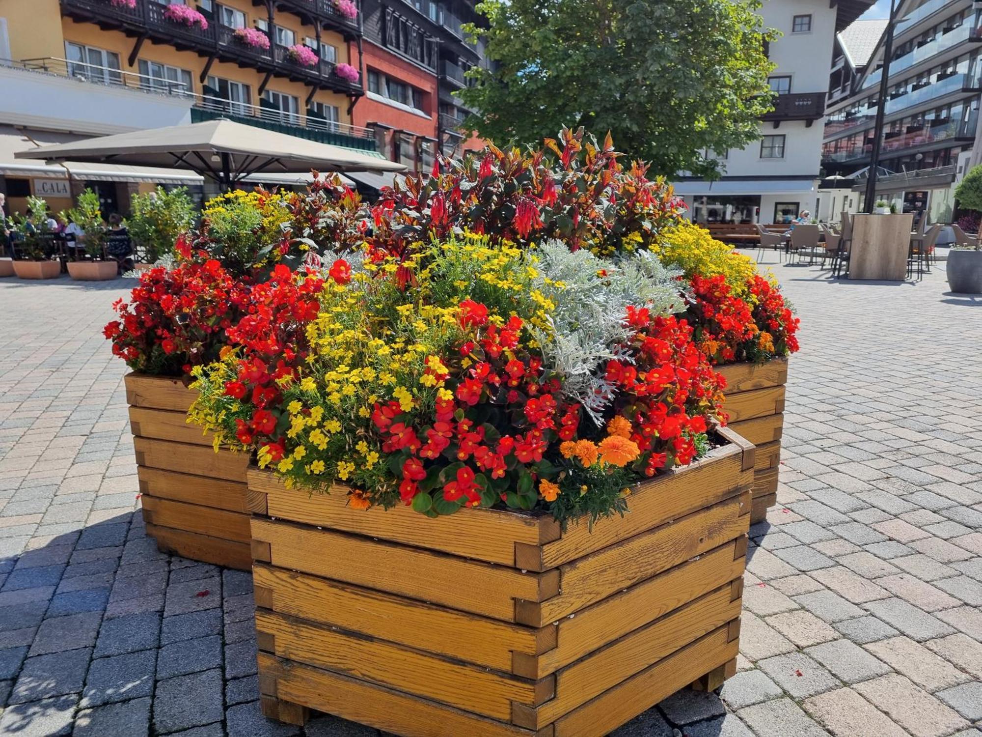 Appartement Bergsee Sun - Am Wildsee - Atemberaubende Aussicht Seefeld in Tirol Exterior photo