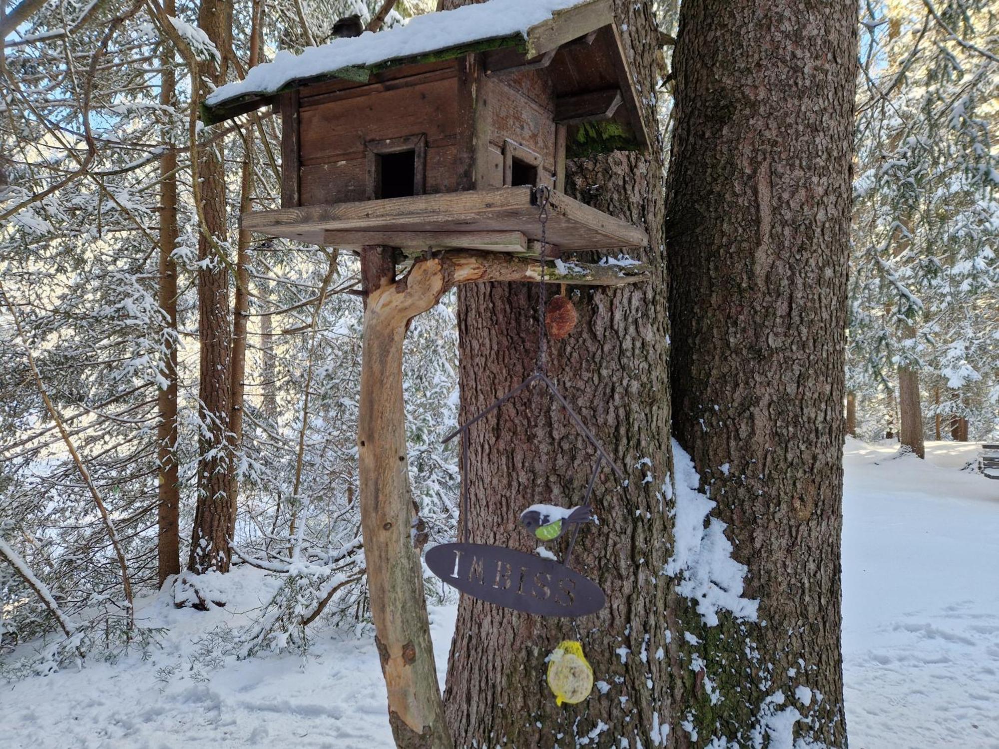 Appartement Bergsee Sun - Am Wildsee - Atemberaubende Aussicht Seefeld in Tirol Exterior photo